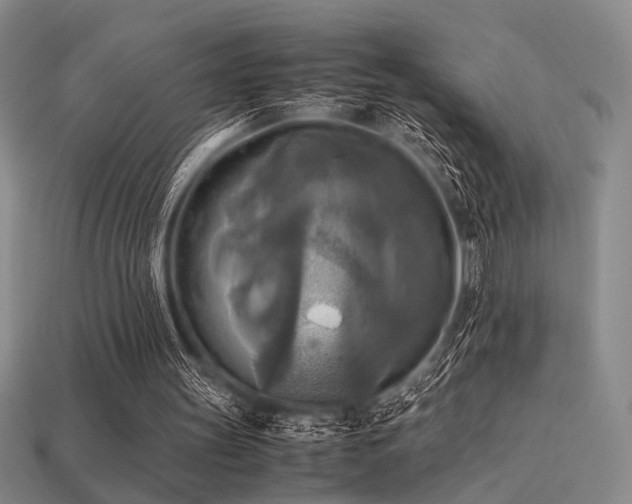 X0000113220147200909101157