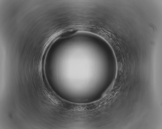 X0000113220148200909101157