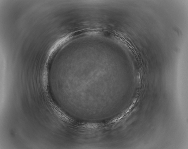 X0000113220149200909101157