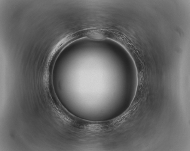 X0000113220150200909101157