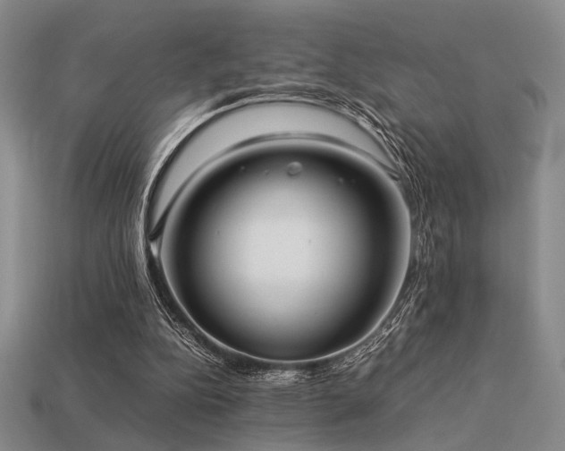 X0000113220152200909101157