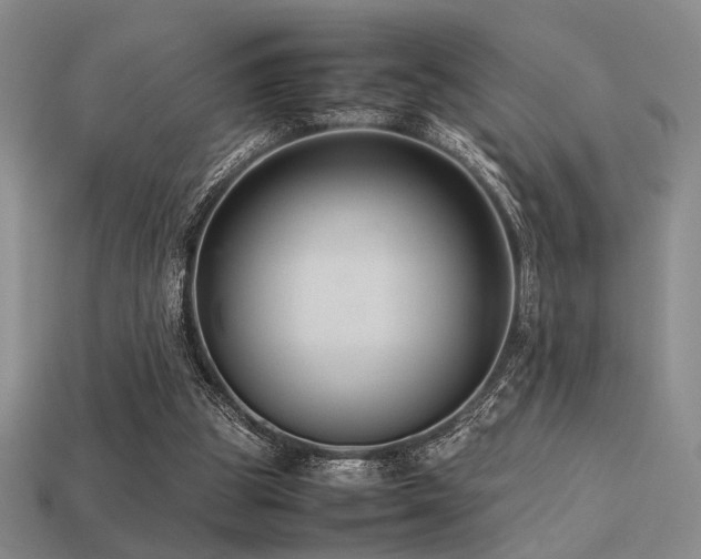 X0000113220153200909101157