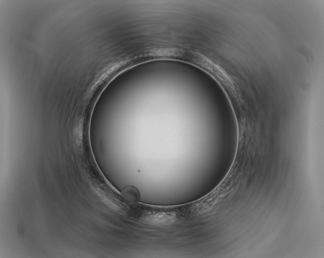 X0000113220155200909101157