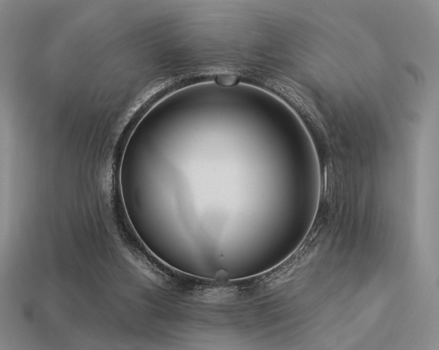 X0000113220156200909101157