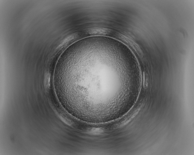 X0000113220157200909101157