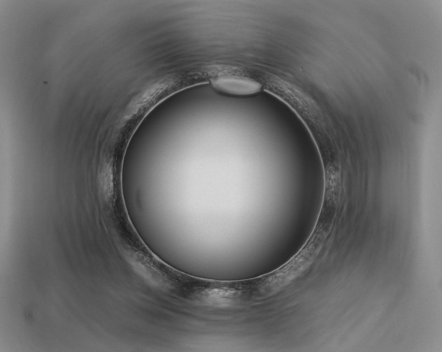 X0000113220158200909101157