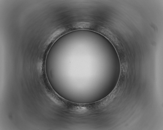 X0000113220159200909101157