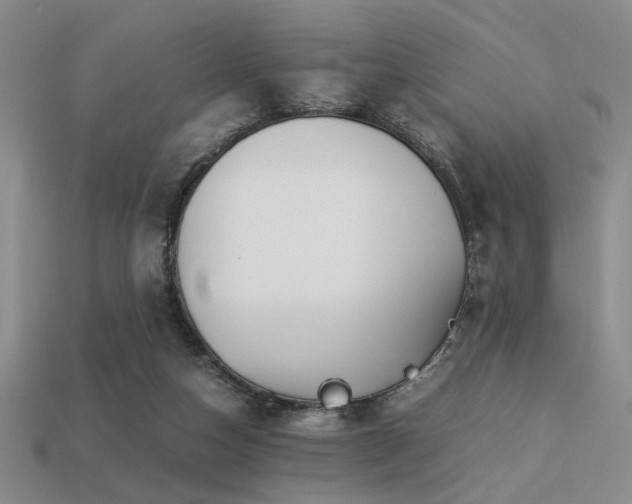 X0000113220162200909101157