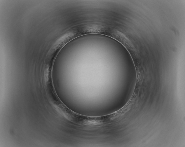 X0000113220163200909101157