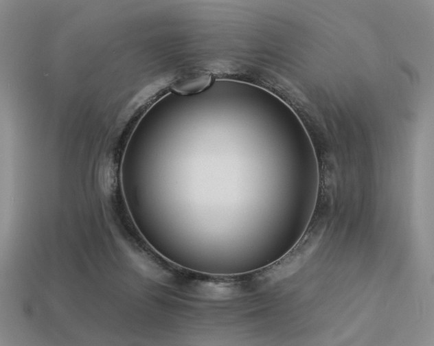 X0000113220164200909101157