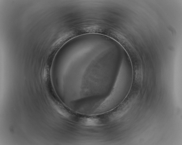 X0000113220165200909101157