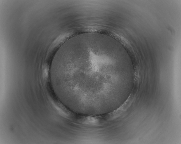 X0000113220166200909101157