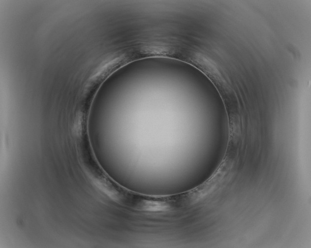 X0000113220167200909101157