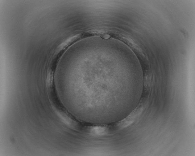 X0000113220168200909101157