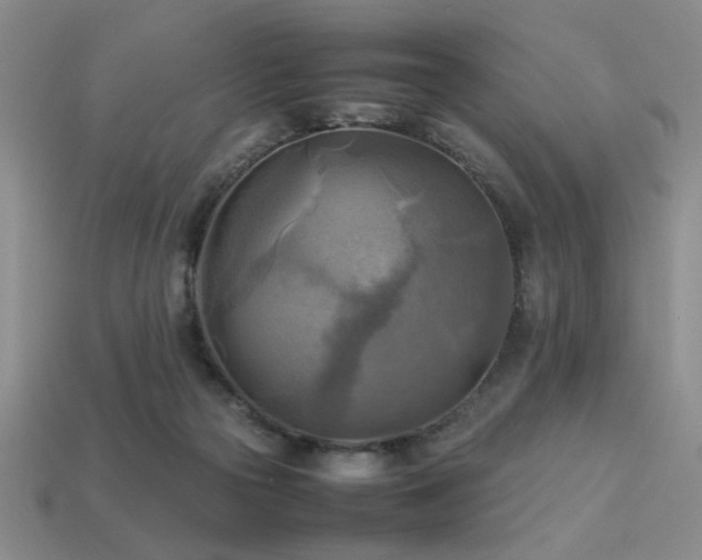 X0000113220169200909101157