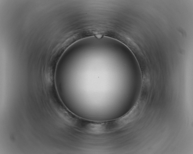 X0000113220170200909101157