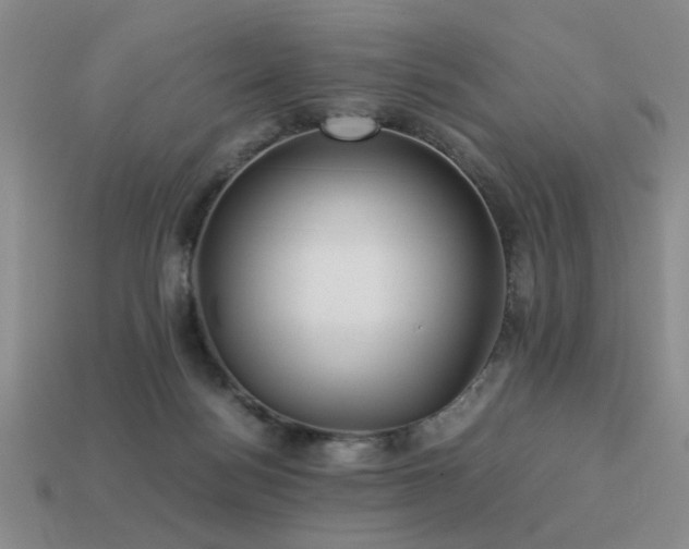 X0000113220172200909101157