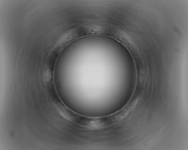 X0000113220173200909101157