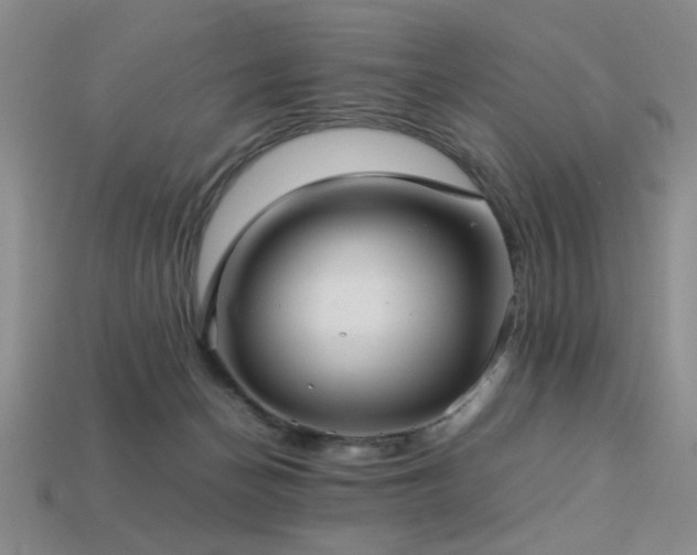 X0000113220174200909101157