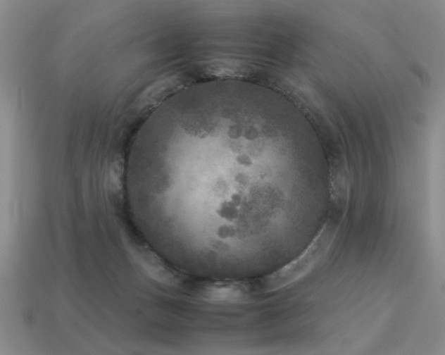 X0000113220175200909101157