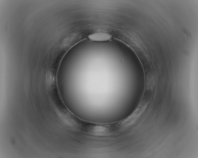 X0000113220176200909101157