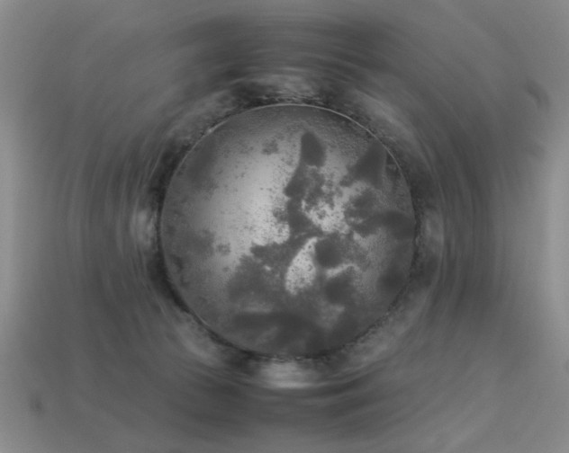 X0000113220177200909101157