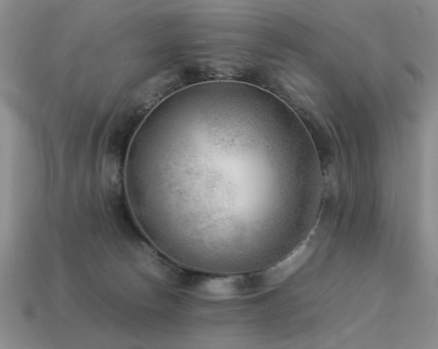 X0000113220178200909101158