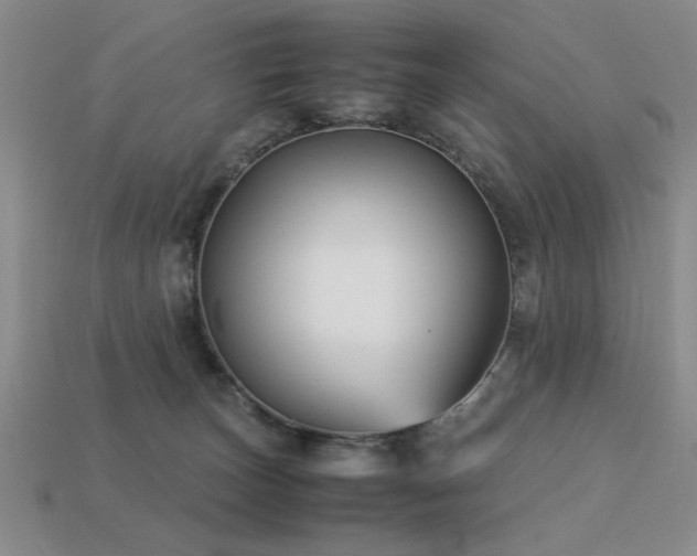 X0000113220179200909101158