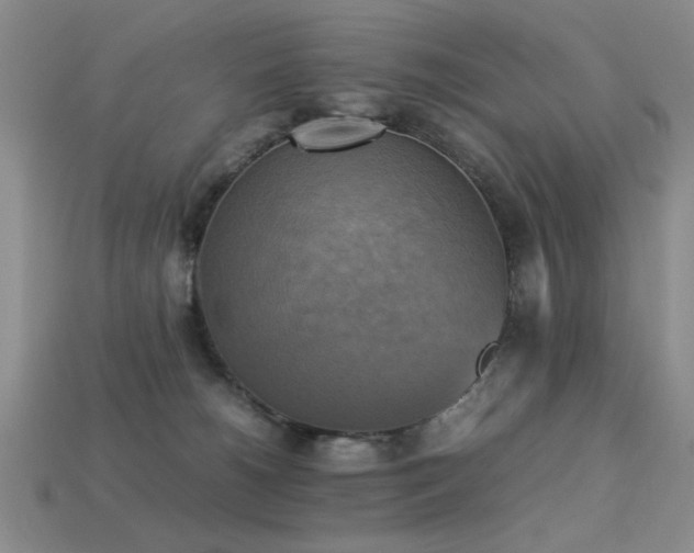 X0000113220180200909101158