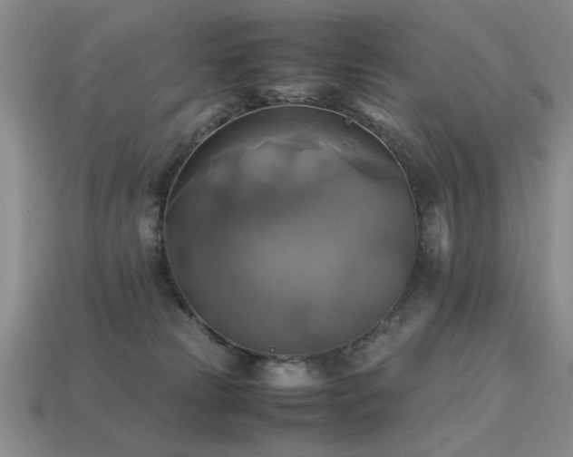 X0000113220181200909101158