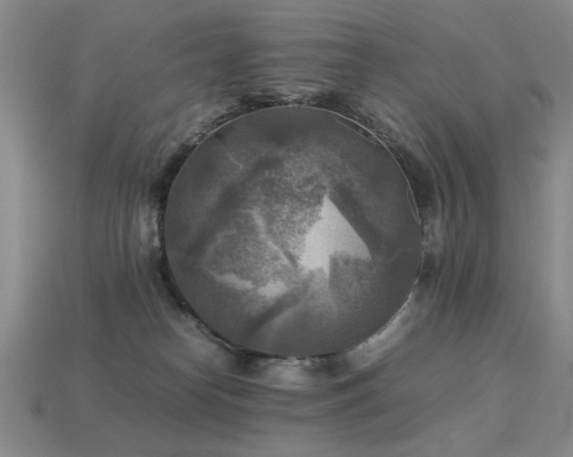 X0000113220182200909101158