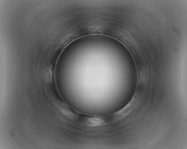 X0000113220183200909101158