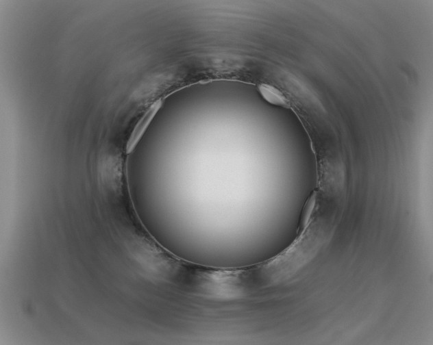 X0000113220184200909101158