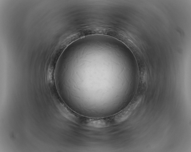 X0000113220185200909101158