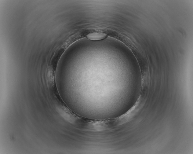 X0000113220186200909101158