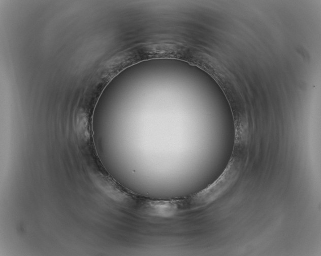 X0000113220187200909101158