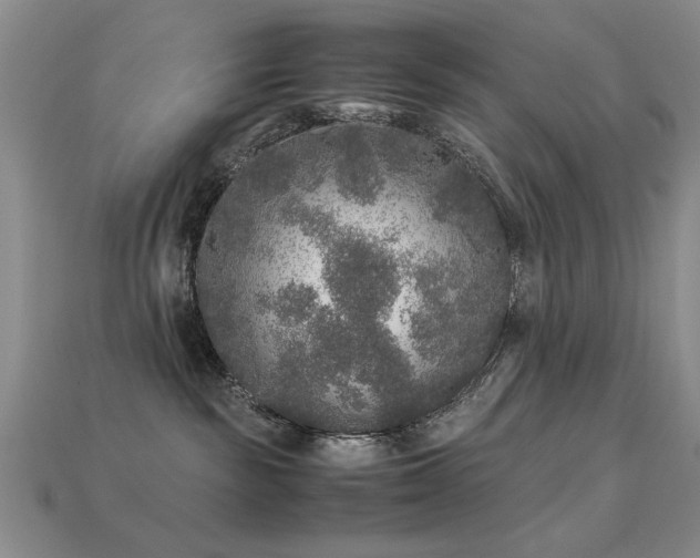 X0000113220189200909101158