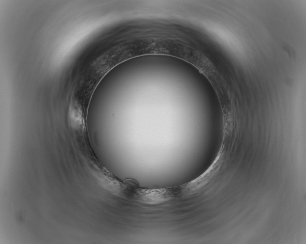 X0000113220191200909101158