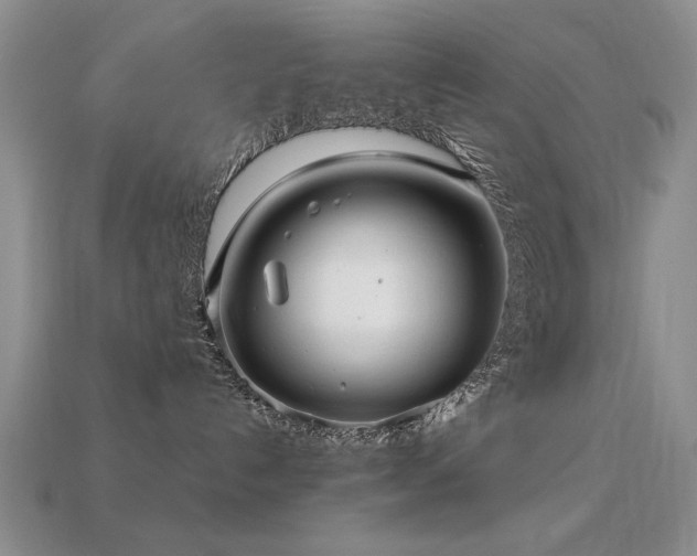 X0000113220192200909101158