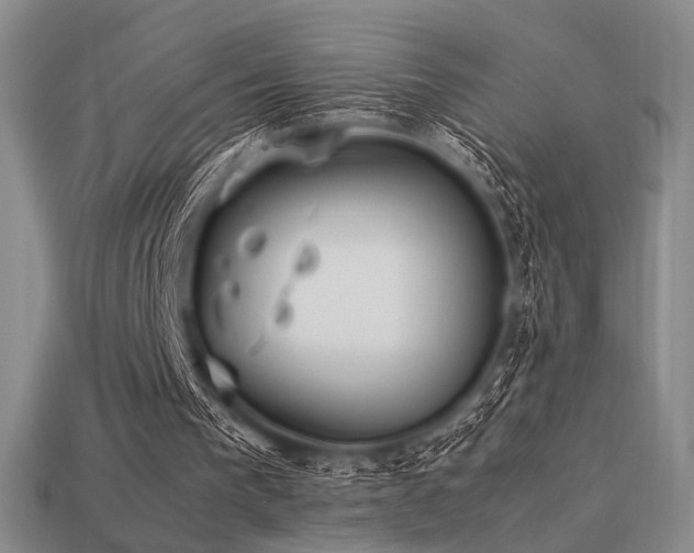 X0000113220193200909101157