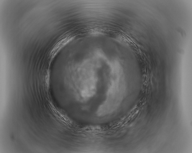 X0000113220194200909101157