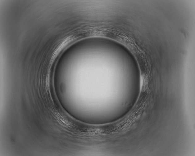 X0000113220195200909101157