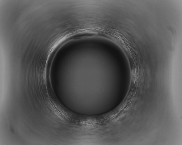 X0000113220196200909101157