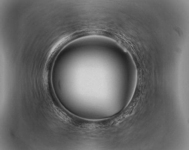 X0000113220197200909101157