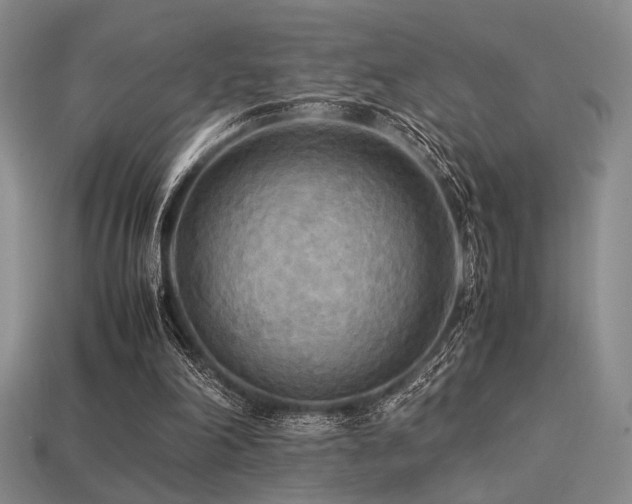 X0000113220198200909101157