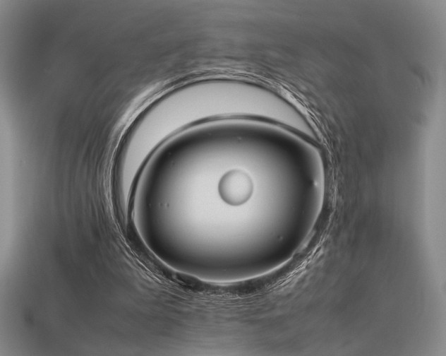 X0000113220199200909101157