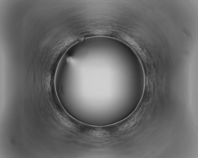 X0000113220201200909101157