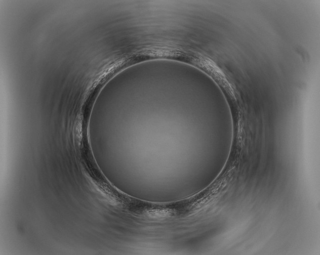 X0000113220202200909101157