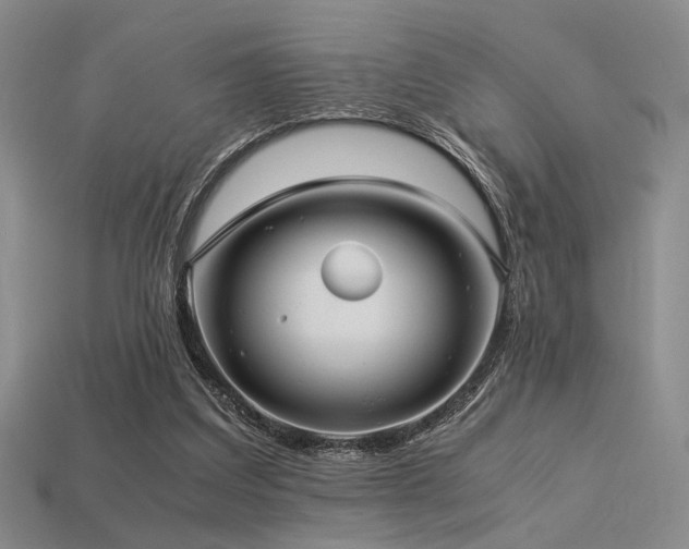 X0000113220203200909101157