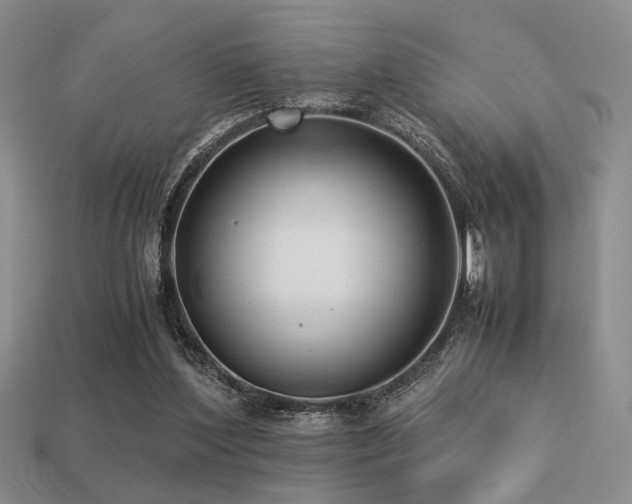 X0000113220204200909101157